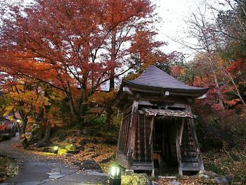 Gazebo by trees against sky during autumn