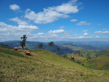 Scenic view of landscape against sky