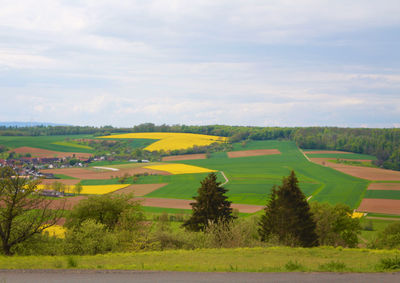 Scenic view of field against sky