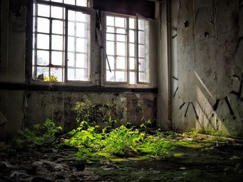 Close-up of abandoned window