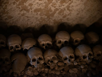 Close-up of human skull