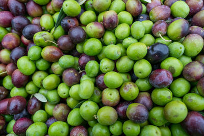 Full frame shot of fruits in market