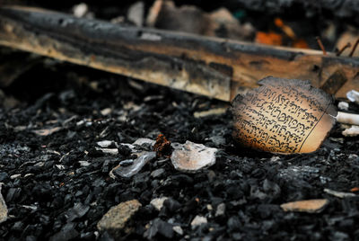 Close-up of burnt paper 