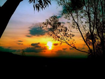 Silhouette trees against dramatic sky during sunset