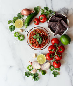 Bowl of fresh salsa with the ingredients and chips on white marble.