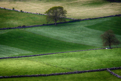 High angle view of golf course