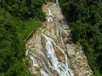 View of waterfall along trees