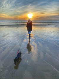 Dachshund on a beach at sunset.