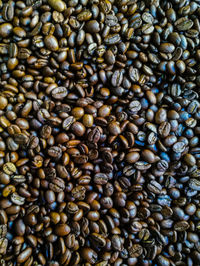 Full frame shot of coffee beans