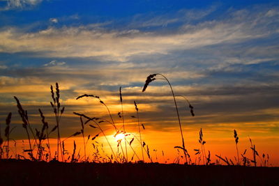 Silhouette landscape against orange sky