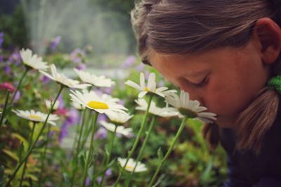 Close-up of woman with pink flowering plants