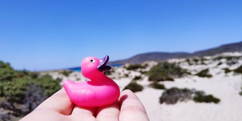 Cropped hand holding rubber duck at beach