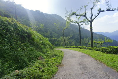 Scenic view of green landscape against sky