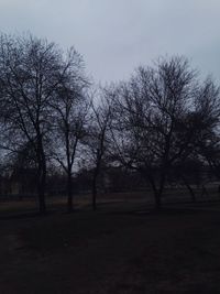 Bare trees on landscape