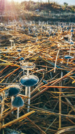 Close-up of water against the sky