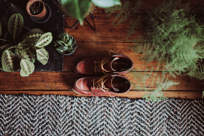 High angle view of potted plant on table