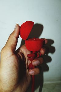 Close-up of hand holding orange fruit