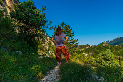 Rear view of person on road amidst trees against sky