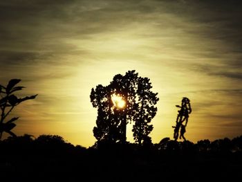 Silhouette of trees at sunset