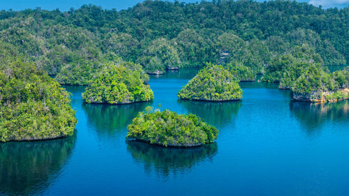 Scenic view of lake and trees