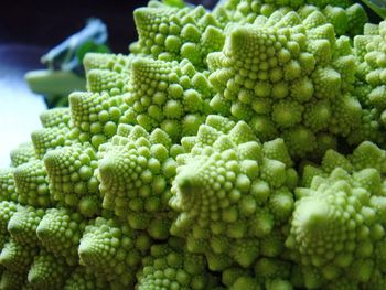 Close-up of green chili peppers