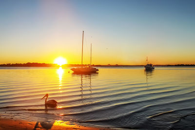 Silhouette sailboats in sea against sky during sunset