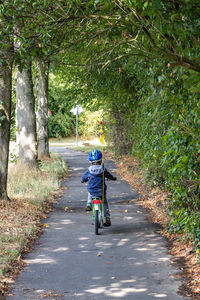 Rear view of man riding bicycle on road