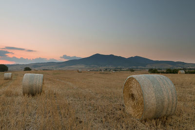 Hay bales on field against clear sky