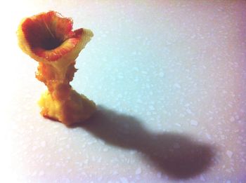 Close-up of food over white background