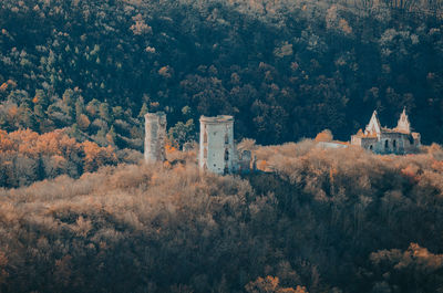 Ancient ruined castle in woods. mystical building. impassable thickets of shrubs.