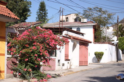 Streets of el rosario