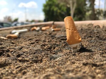 Close-up of cigarette butt on dirt during sunny day