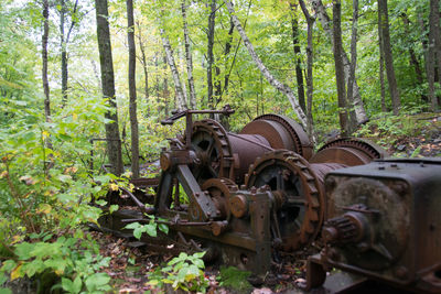 Abandoned cart in forest