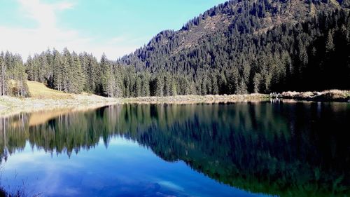 Scenic view of lake by trees against sky