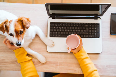 High angle view of dog using laptop on table