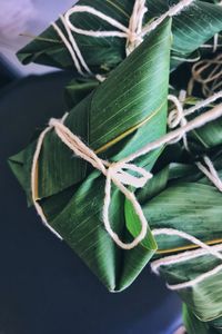 High angle view of green leaves on plant