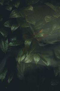 Full frame shot of water