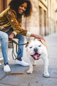 Close-up of english bulldog standing with woman sitting in background