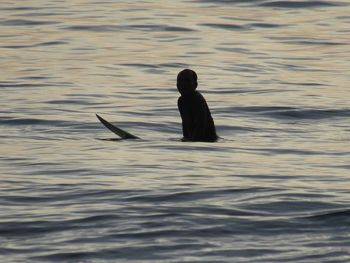 Rear view of man swimming in lake