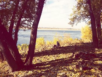 Scenic view of calm lake