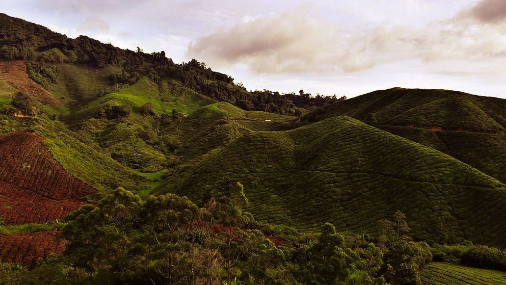 landscape, nature, cloud - sky, beauty in nature, no people, tranquility, outdoors, sky, scenics, day, hill, travel destinations, tree