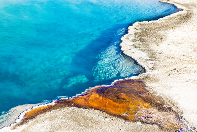 Colorful pattern of the black pool, yellowstone national park