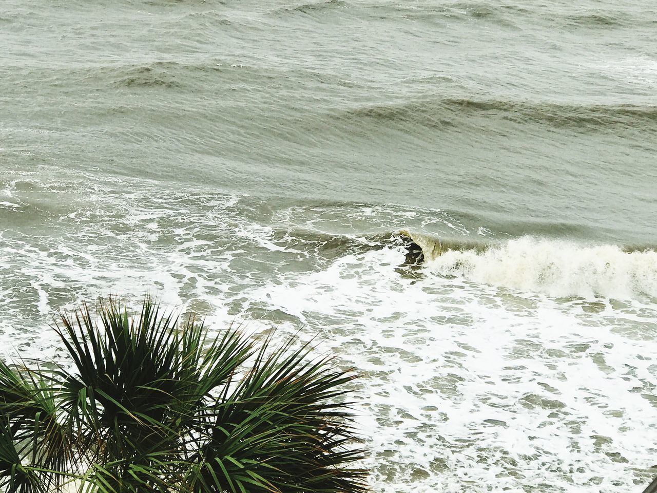 SCENIC VIEW OF SEA WAVES