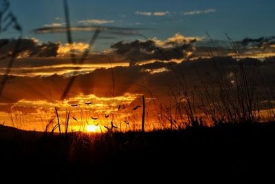 Scenic view of landscape at sunset