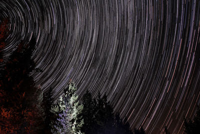 Low angle view of trees against sky at night