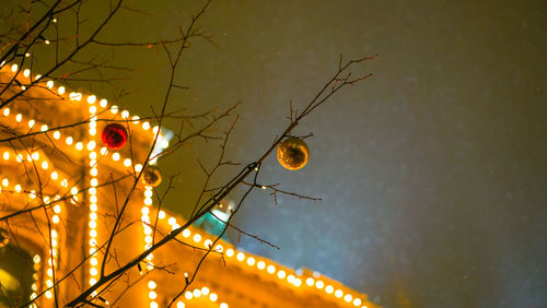 Low angle view of illuminated tree against sky at night