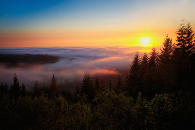 Scenic view of dramatic sky over forest during sunset