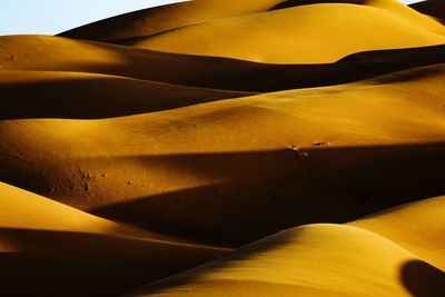 Full frame shot of sand dune