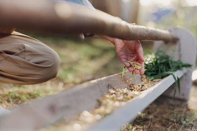 Cropped hand of woman planting seeds in farm 