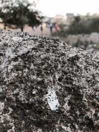 Close-up of snow on rock against sky